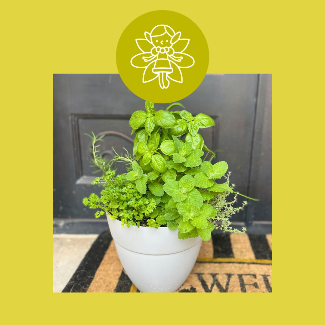 Add an Herb Garden