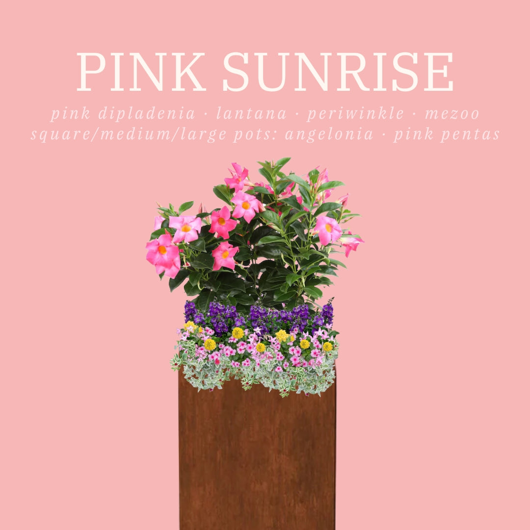 Summer Flowerpot Inserts