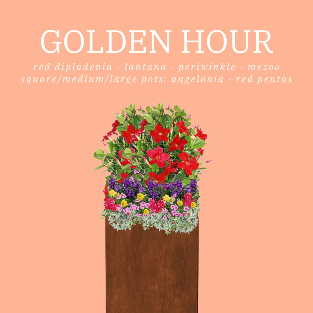 Summer Flowerpot Inserts