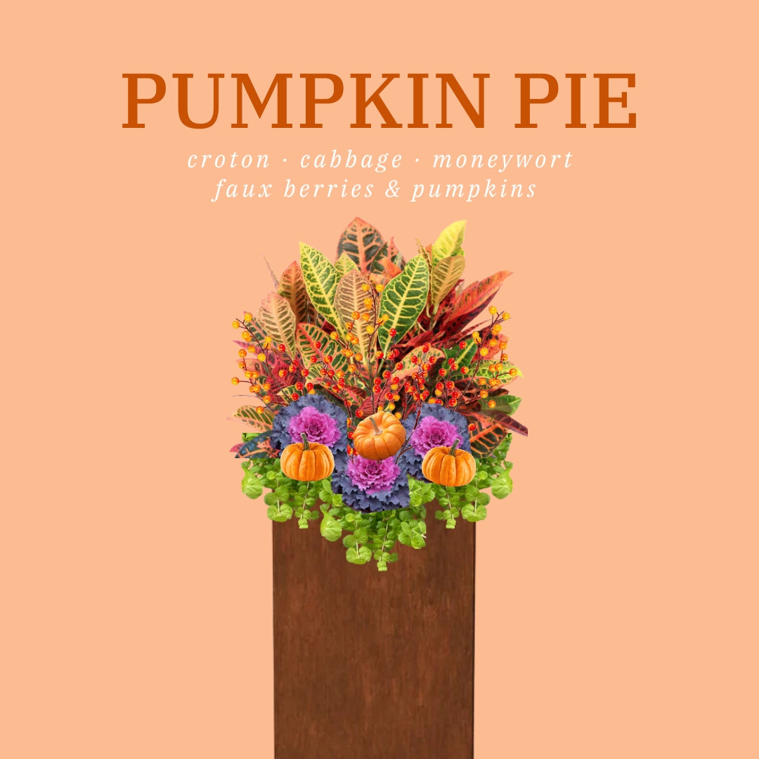 Fall Flowerpot Inserts