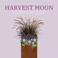 Flowerpot Inserts