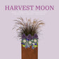 Flowerpot Inserts